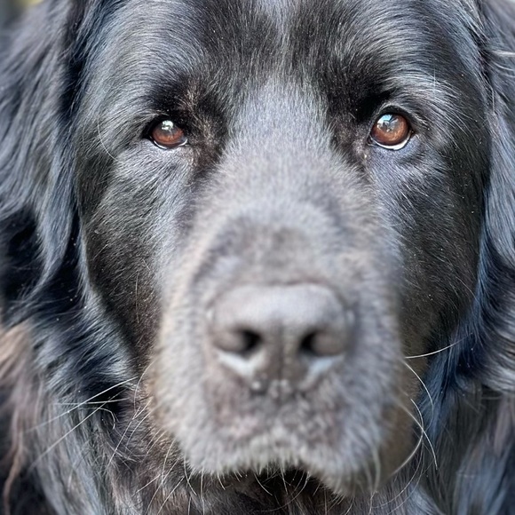 SCAN THIS CODE 4 $10 OFF YOUR FIRST PURCHASE! - Picture 9 of 12